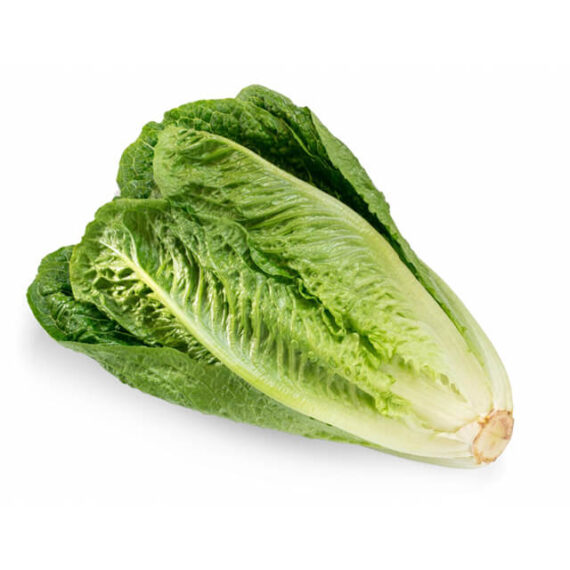 Romaine Hearts